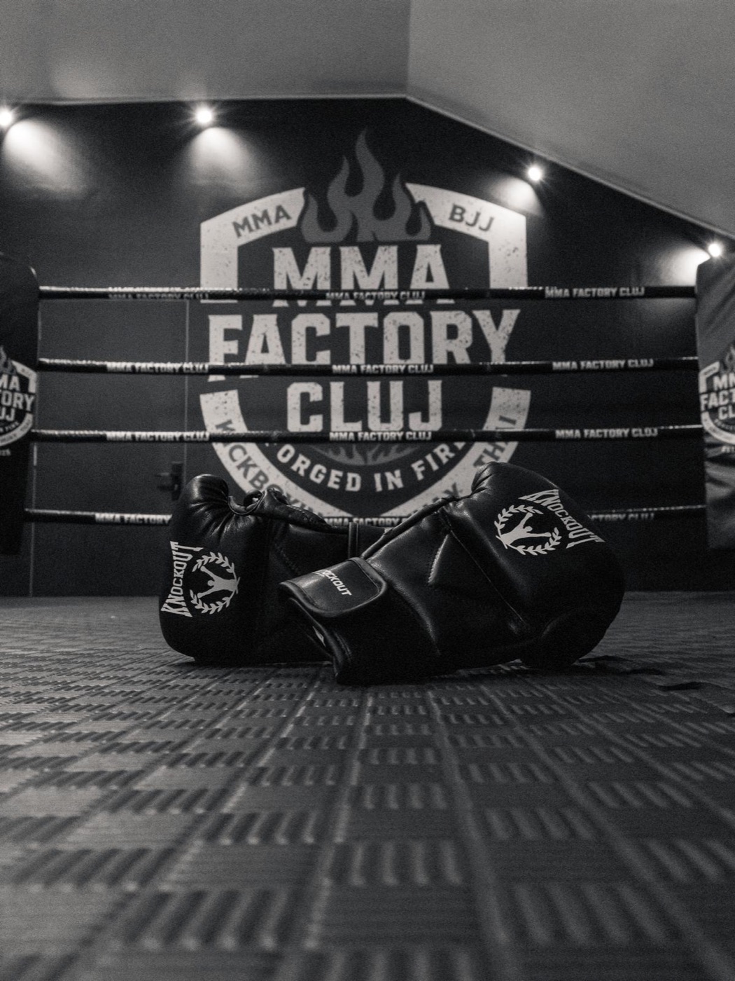 MMA Factory Cluj - fotografie 2