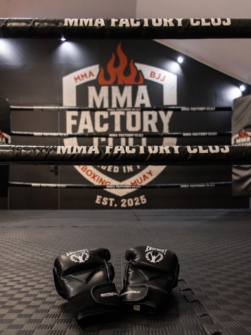 MMA Factory Cluj - fotografie 17