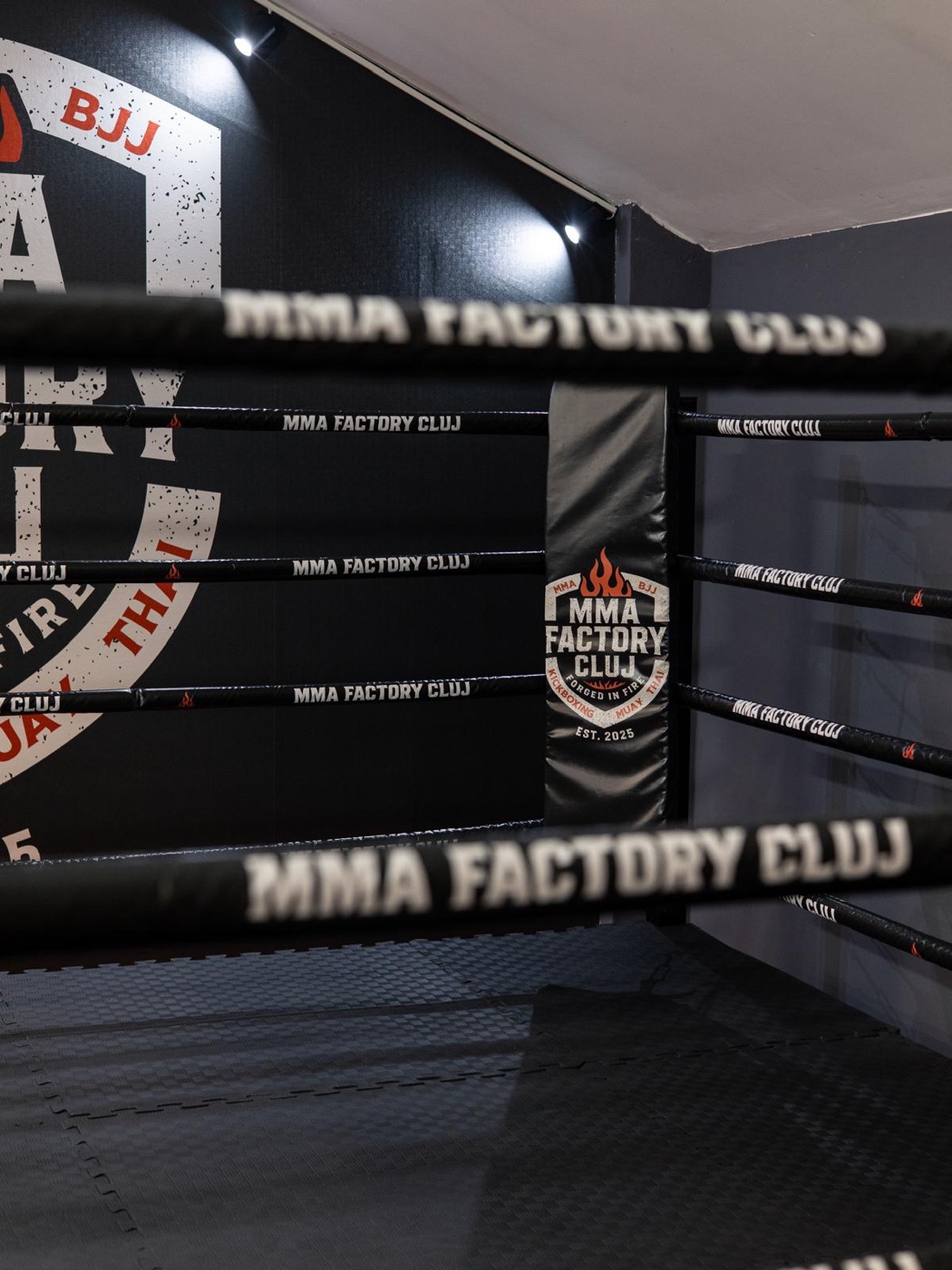 MMA Factory Cluj - fotografie 18